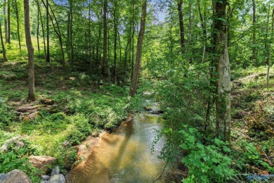 Lake Acreage For Sale in Guntersville, Alabama