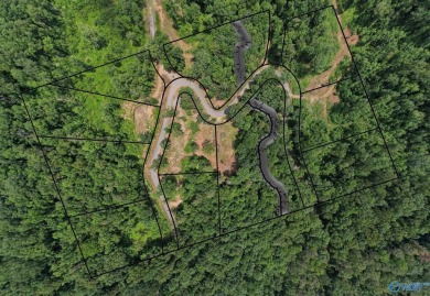Lake Lot For Sale in Guntersville, Alabama