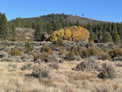 Buildable, beautiful and reasonably priced 5-acre property in - photo 2