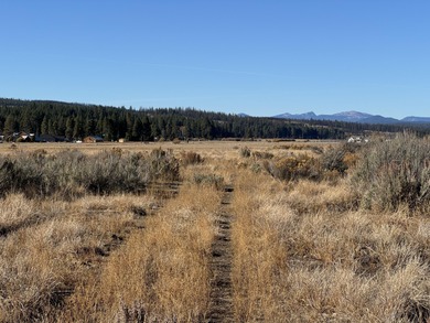 Buildable, beautiful and reasonably priced 5-acre property in - photo 4