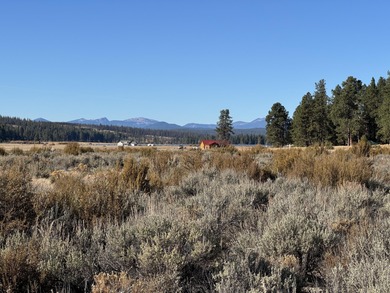 Buildable, beautiful and reasonably priced 5-acre property in - photo 7