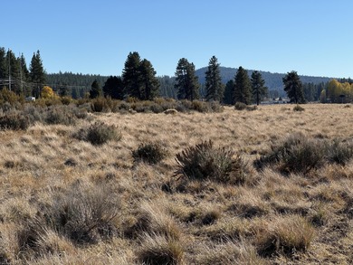 Buildable, beautiful and reasonably priced 5-acre property in - photo 10