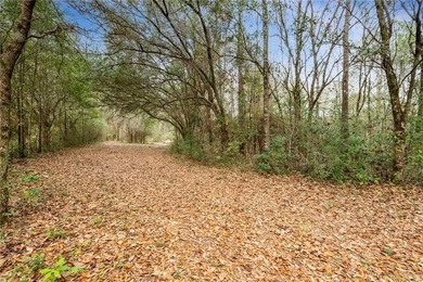 13.9-acre build-ready property with a combination of natural - photo 14