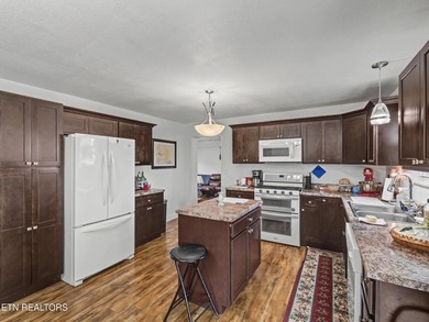Comfortable one level home with great mountain views. Most of - photo 15