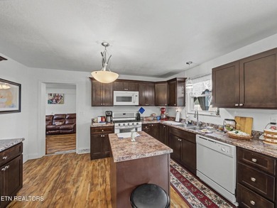 Comfortable one level home with great mountain views. Most of - photo 18