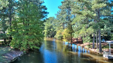 Now this home comes completely furnished!!!!Have you been - photo 23
