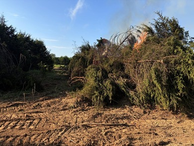 Down Farm Road 2255 lies approximately 100 acres of opportunity - photo 29