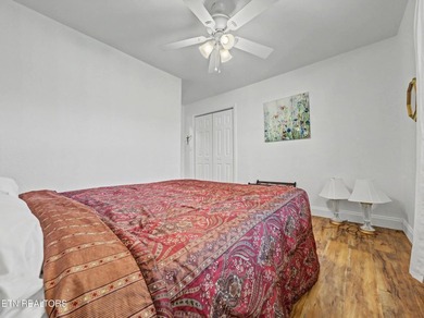 Comfortable one level home with great mountain views. Most of - photo 39