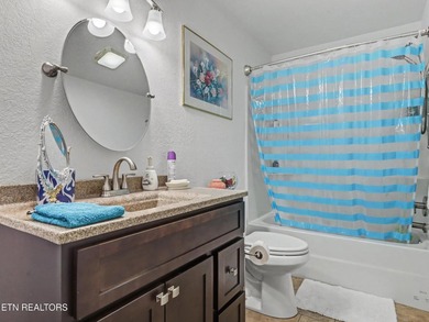 Comfortable one level home with great mountain views. Most of - photo 42