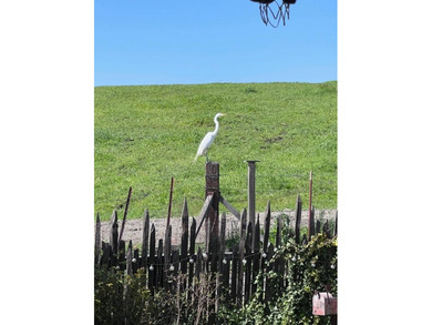 Set on approximately 10 rare acres of mostly flat to gently - photo 21