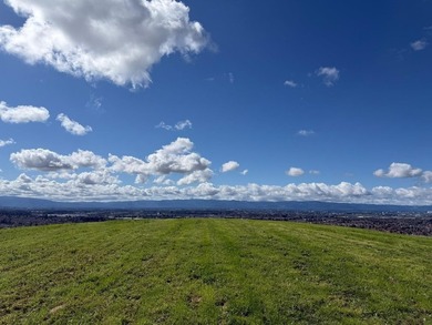 Set on approximately 10 rare acres of mostly flat to gently - photo 23