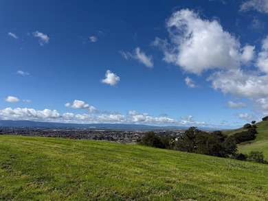 Set on approximately 10 rare acres of mostly flat to gently - photo 24