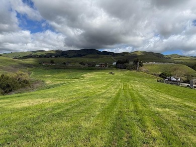 Set on approximately 10 rare acres of mostly flat to gently - photo 25