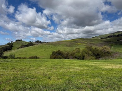 Set on approximately 10 rare acres of mostly flat to gently - photo 26