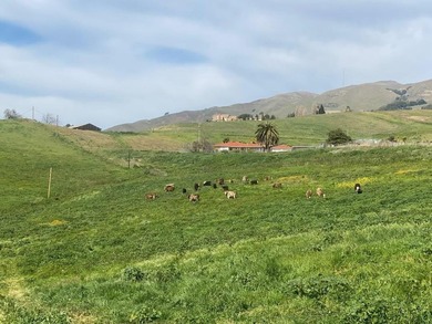 Set on approximately 10 rare acres of mostly flat to gently - photo 27