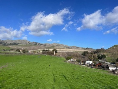 Set on approximately 10 rare acres of mostly flat to gently - photo 28