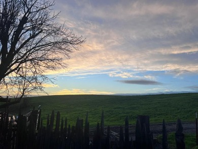 Set on approximately 10 rare acres of mostly flat to gently - photo 31