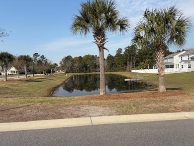 Welcome home. This beautiful gas heated ranch in Carolina - photo 38