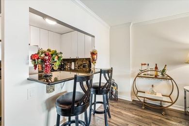 Pet Friendly Luxury High Rise building,Large One Bedroom With A - photo 2