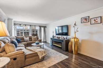 Pet Friendly Luxury High Rise building,Large One Bedroom With A - photo 4