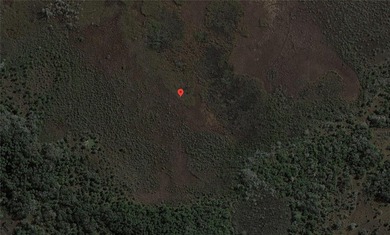 Amazing 5 acre parcel of Agricultural land in Charlotte County - photo 4