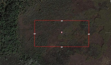 Amazing 5 acre parcel of Agricultural land in Charlotte County - photo 5