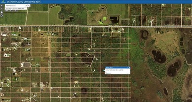 Amazing 5 acre parcel of Agricultural land in Charlotte County - photo 8