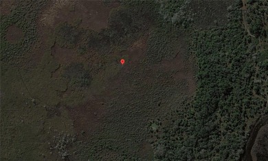 Amazing 5 acre parcel of Agricultural land in Charlotte County - photo 10