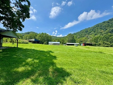 MLS11791984------179 Cow Lane, Arnoldsburg, WV - 16.63 acres +/- - photo 1