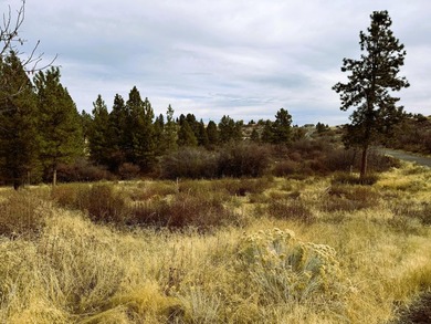 This scenic .41-acre lot offers a serene view of Agency Lake - photo 2