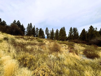 This scenic .41-acre lot offers a serene view of Agency Lake - photo 3