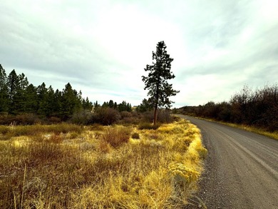 This scenic .41-acre lot offers a serene view of Agency Lake - photo 4