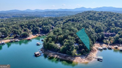 Lake Blue Ridge Lot For Sale in Morganton Georgia