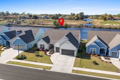 Currently, the only direct Intracoastal Waterway residence - photo 44