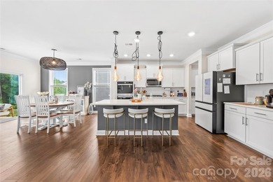 Welcome to 116 Aviendha Lane in Troutman! Just minutes from - photo 8