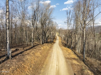 Lake Acreage For Sale in Butler, Tennessee