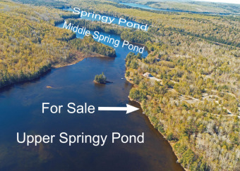 Lake Lot Off Market in Clifton, Maine
