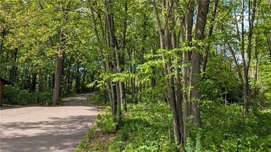 Rare opportunity for a luxury home on the most valuable lot on - photo 5
