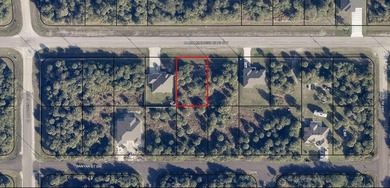 A VACANT LOT IN PALM BAY IN BREVARD - photo 1
