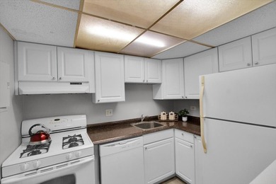 Gorgeous, move-in-ready, end-unit townhouse with 2 bedrooms, 1.5 - photo 12