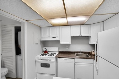 Gorgeous, move-in-ready, end-unit townhouse with 2 bedrooms, 1.5 - photo 13