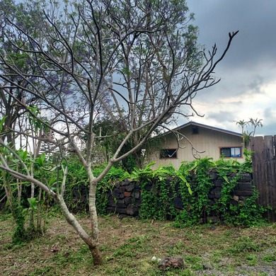 A SCREAMING DEAL...SELLER IS LEAVING THE ISLAND. LOVELY 2 - photo 22