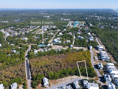 Set within the amenity-rich community of Cypress Dunes, 20 - photo 4