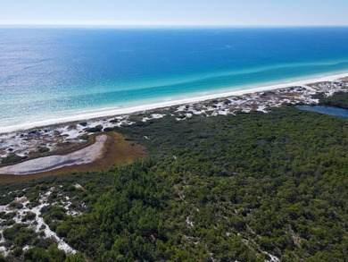 Set within the amenity-rich community of Cypress Dunes, 20 - photo 5