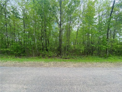 (private lake, pond, creek) Lot For Sale in Birchwood Wisconsin