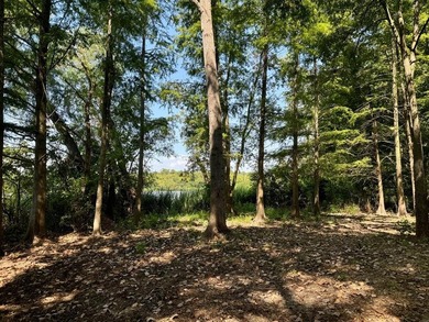 Experience lakeside living in the exclusive, gated community of - photo 22