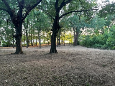 Experience lakeside living in the exclusive, gated community of - photo 23