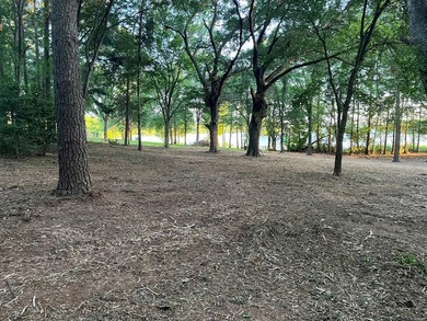 Experience lakeside living in the exclusive, gated community of - photo 24