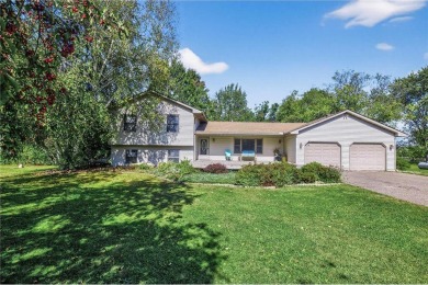 Lake Home For Sale in Wyoming, Minnesota