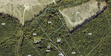 Discover 6.9 acres of wooded privacy at the end of Lethia Lane! - photo 1